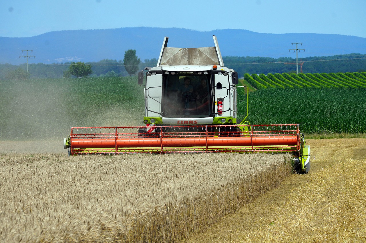 harvest 6476215 1280